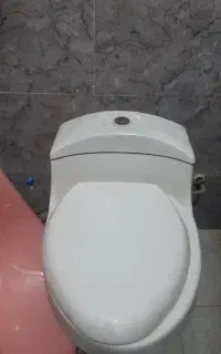 توالت فرنگی