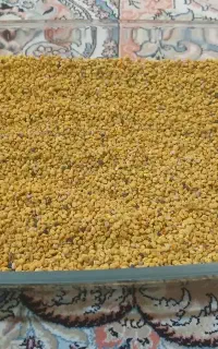 تولید و فروش ژل رویال.گرده گل.بره موم و عسل طبیعی