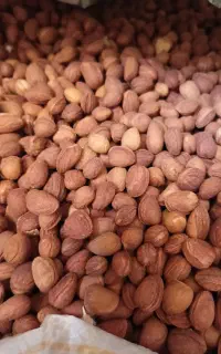 الوک چلال