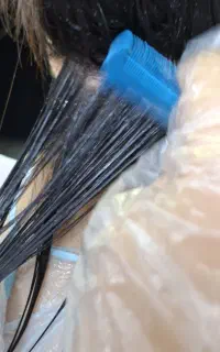 پاکسازی قطعی شپش بدون عوارض وصددرصدگیاهی