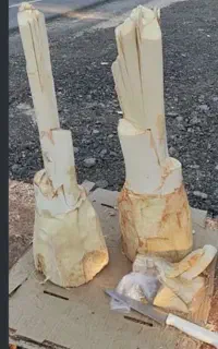 باسلام قطع درخت نخل به صورت رایگان