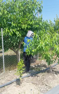 جویای کار