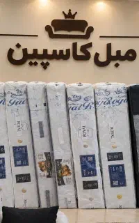 تشک اقتصادی رویال