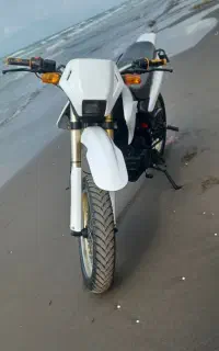 تریل ۲۵۰ مدل ۹۱