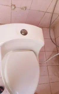 توالت فرنگی