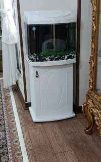 آکواریوم  پایه دار دلسا