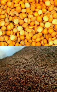 چای و روغن و حبوبات