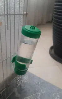 همستر و آبخوری همستر