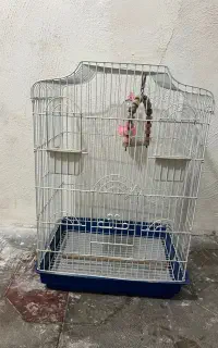قفس پرنده