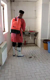 سمپاشی موریانه سوسک ساس مورچه کنه موش شپش سم‌پاشی