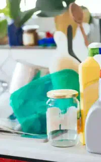 نیروی نظافت و خدمات