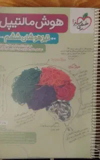 هوش مالتیپل ششم