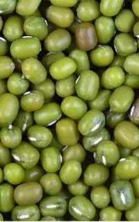 فروش ماش ماشک محلی