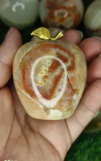سیب سنگی