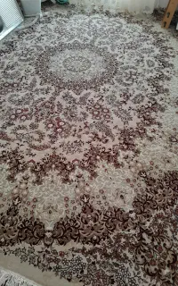 دو عدد فرش ۱۲ متری جفت برجسته
