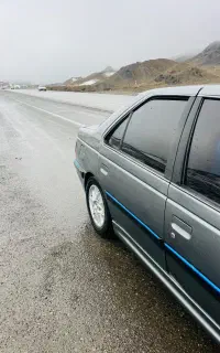 پارس معمولی93