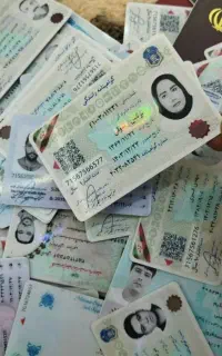 صدور تمامی مدرک ها