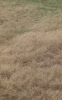 استخدام نیروی ماهر برای حسابداری و باسکول در سنگ