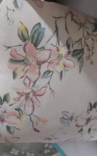 بالشت