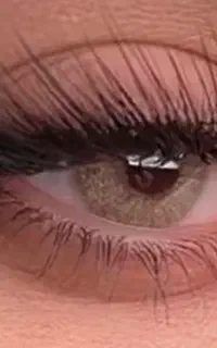 نیازمند چند مدل اکستنشن مژه