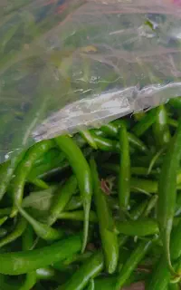 خریدار سبزی خوردن برای مغازه کسی سر زمین نداره