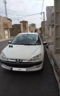 ۲۰۶ اس دی
