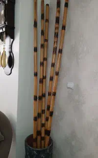 بامبو