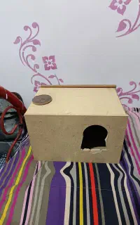 لونه انواع طوطی و پرندگان