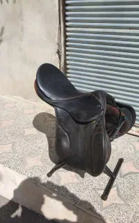 زین پرشی