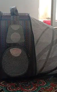 کوله حمل حیوانات