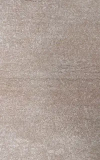 پالاز موکت