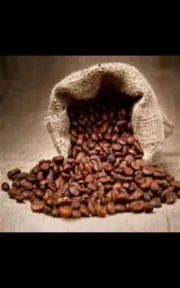 کارآموز حسابداری