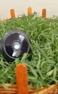 دوربین+ مگنتی