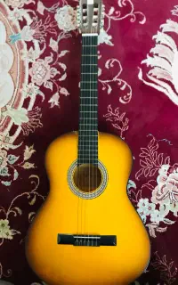 گیتار دیاموند الماس نشان