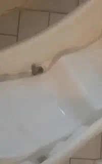 وان بچه