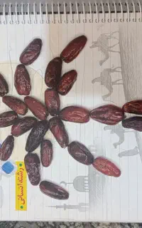 کتابکار عربی