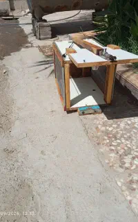 تله ی گربه و روباه
