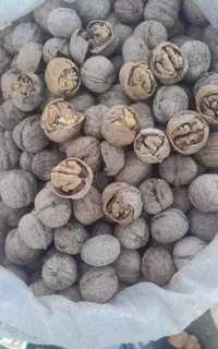 گردو خوب