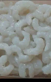 میگو سرتیز جنگل حرا تمیز شده ورگ گرفته شده