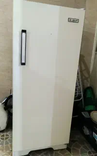 یخچال فیلور