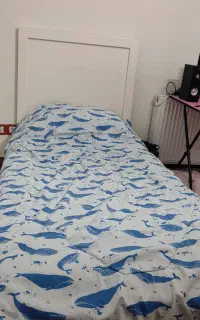 تخت جوان
