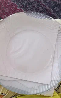 بشقاب پلو خوری