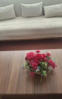 مبل