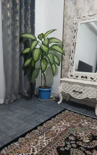 گل طبیعی