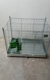 قفس کبوتر