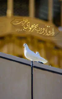 تورمشهد از سیرجان ویژه مهر