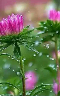 سیم کارت خش ک باپیش شماره 0991 ح۸۹۳   ۰۹۹۱ خشک