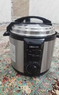 جیپاس برقی6 لیتری در حد صفر