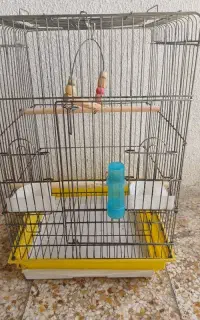 یک عدد قفس 1033 به همراه لانه گرینچیک راهب عروس