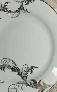 ظروف پذیرایی